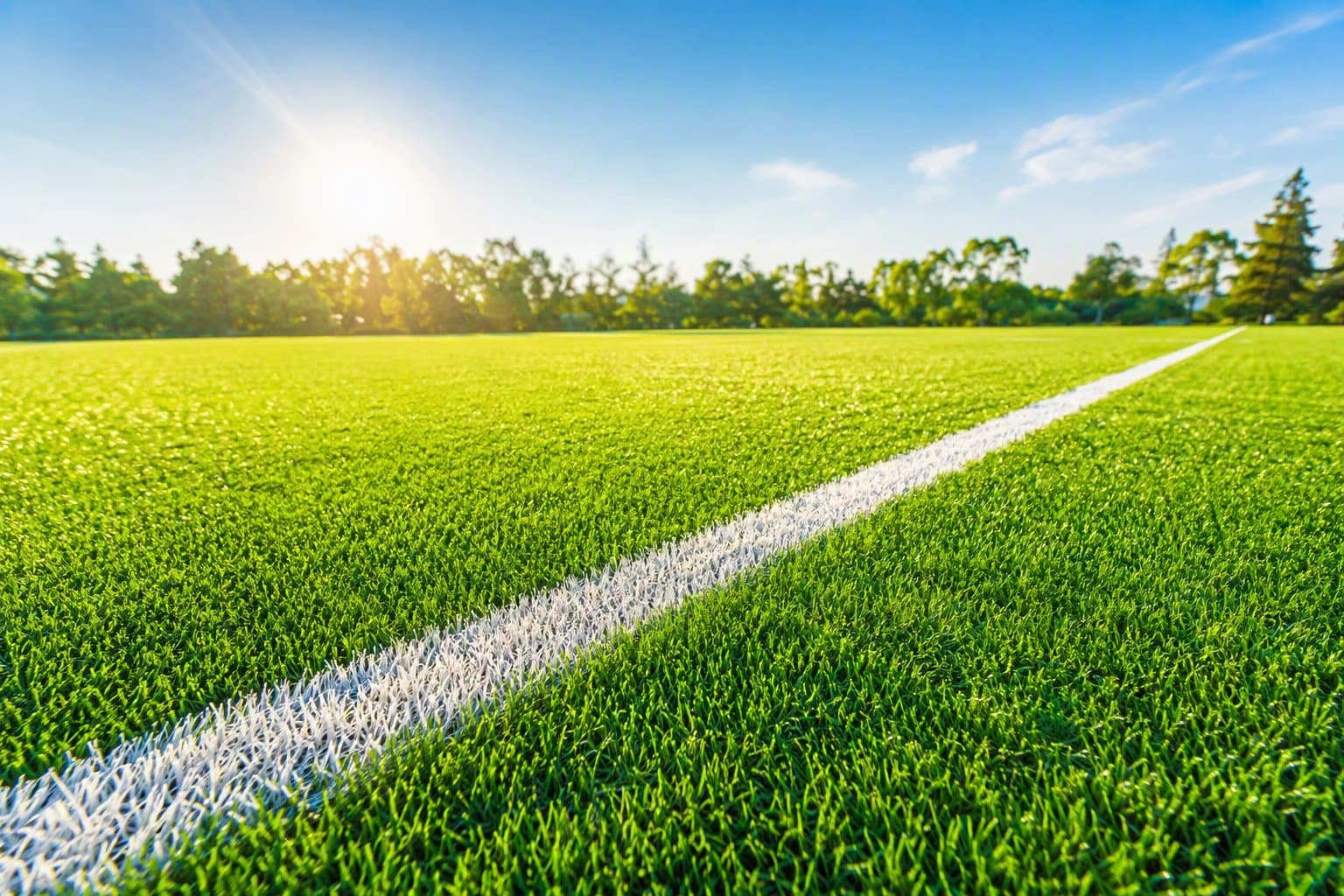 Sunlit Soccer Field - illustration, Jake Team LLC